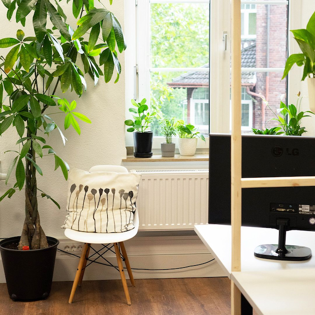 Helles Büro mit Stuhl und grüner Pflanze vor einem hellen Fenster