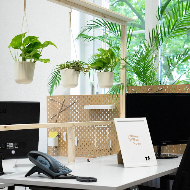 Büroschreibtisch mit Monitor und Telefon vor einem Fenster mit Hängepflanzen